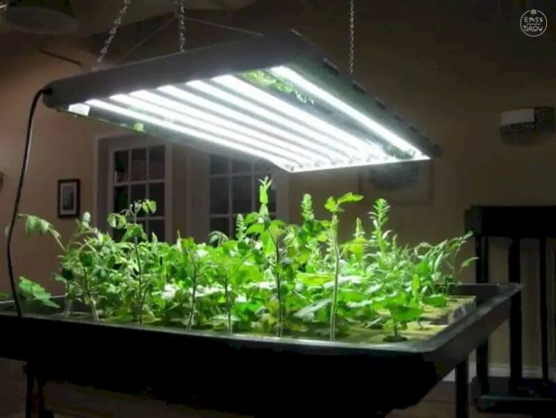 Лампа для выращивания растений