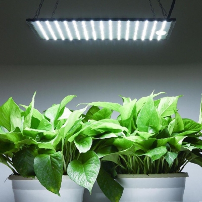 ДНаТ, ЭСЛ или LED – какую лампу выбрать для выращивания?